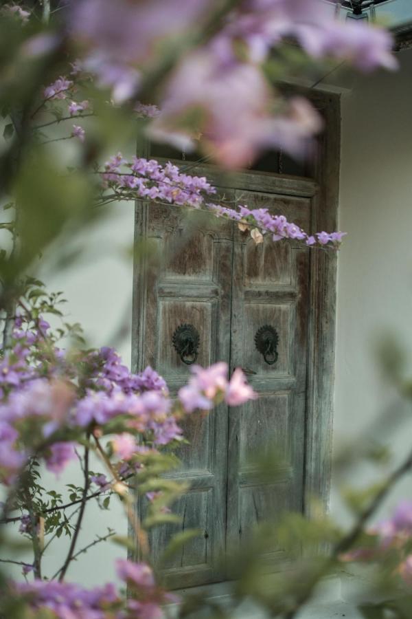 Casa Gitano 호텔 아항가마 외부 사진